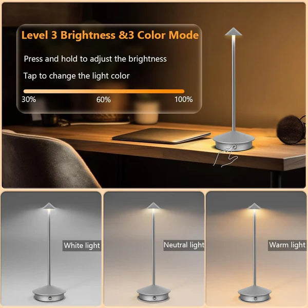 3 Colour Metal Desk Lamp