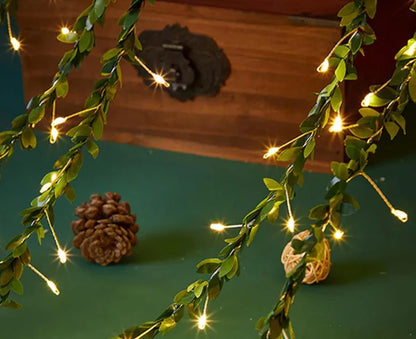 LED String Lights for Home Decoration | Festive Wire Lights